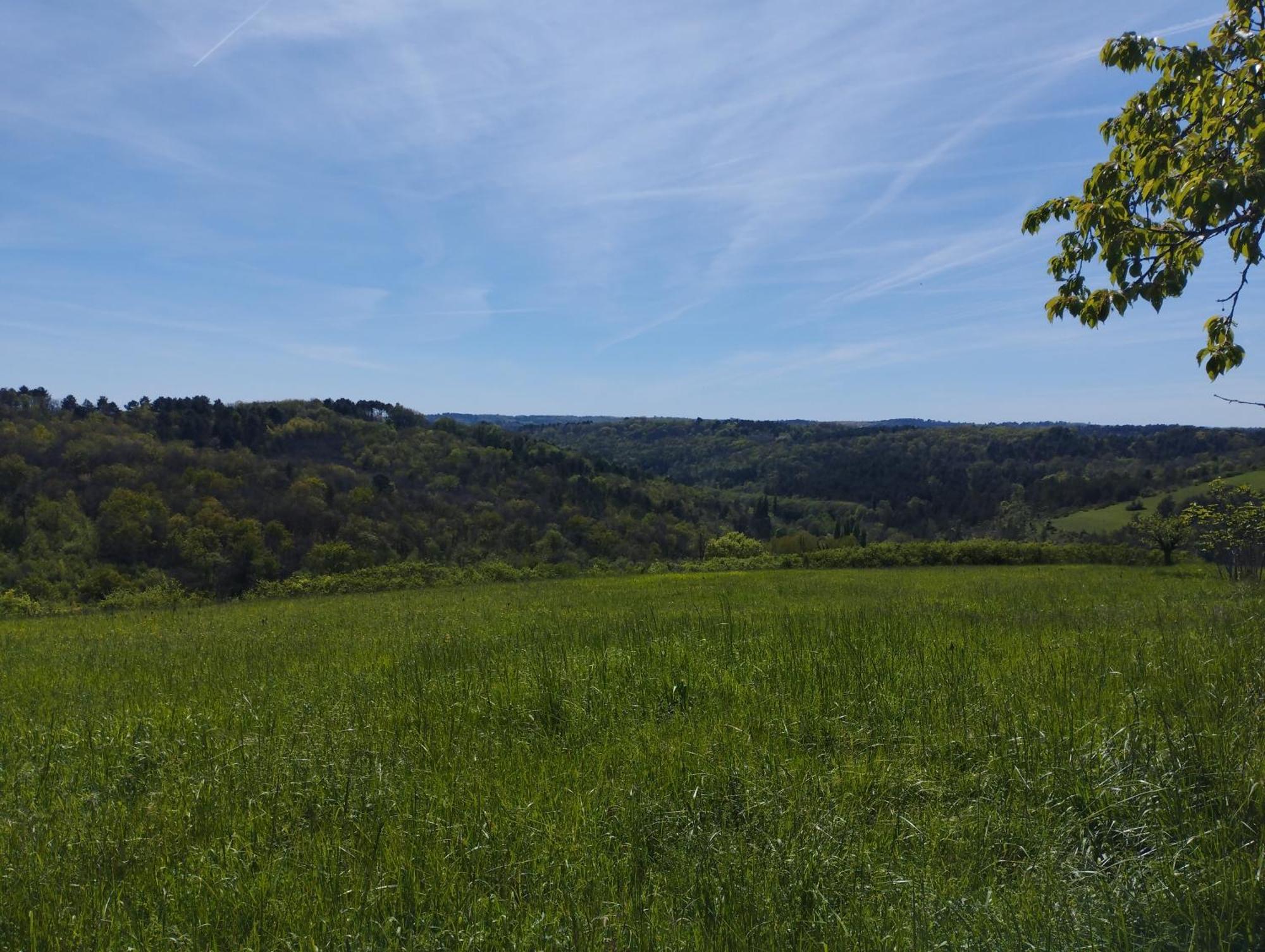 En Perigord Proche De Lascaux *